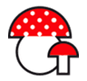 FUNGHI